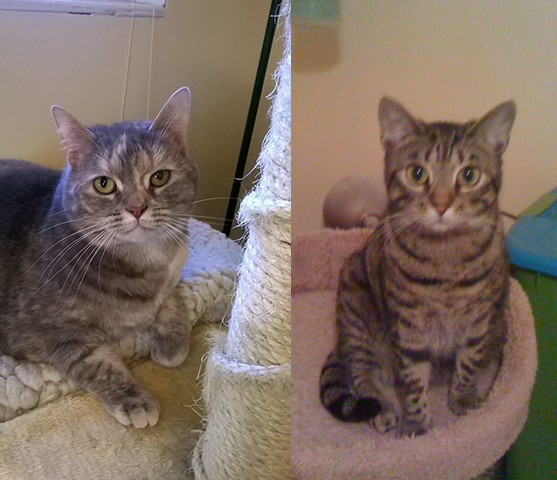 Cheerio & Nikita